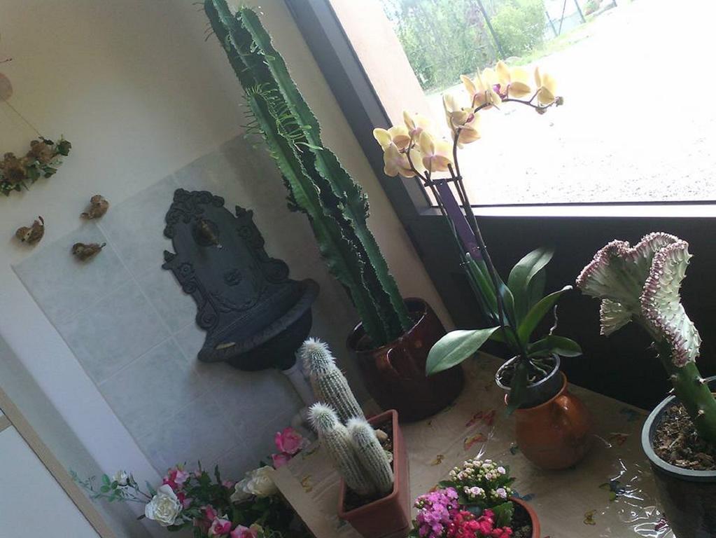Il Cerchio Delle Fate Villa Torgiano Dış mekan fotoğraf